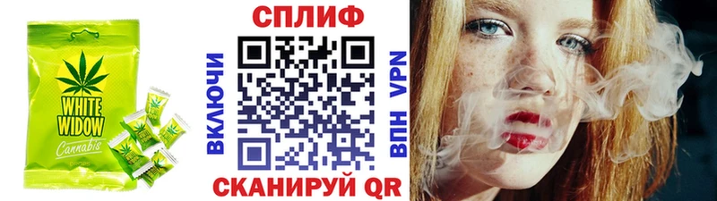 Canna-Cookies марихуана  мориарти состав  Александровское 