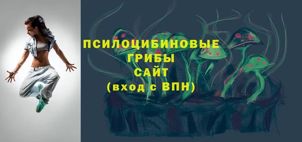 хмурый Алзамай