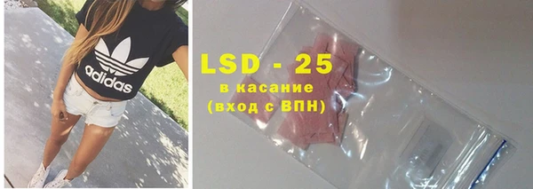 хмурый Алзамай