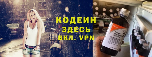 хмурый Алзамай