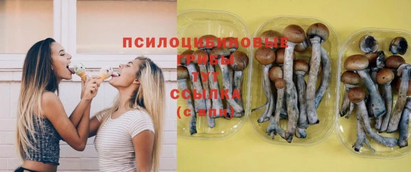 хмурый Алзамай