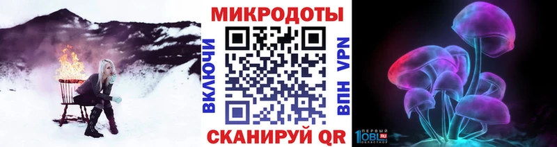 купить  сайты  Александровское  Галлюциногенные грибы Psilocybine cubensis 